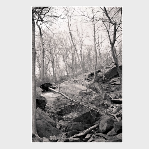 andras/photos